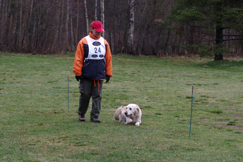 8.5.2010 097c.jpg